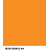 NEON ORANGE 404 